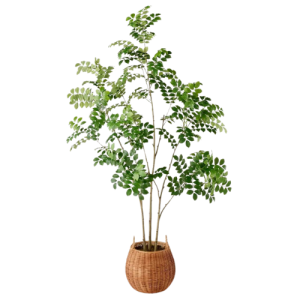 An artificial Pterocarpus tree from Target