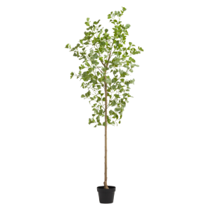 an artificial olive tree from World Market