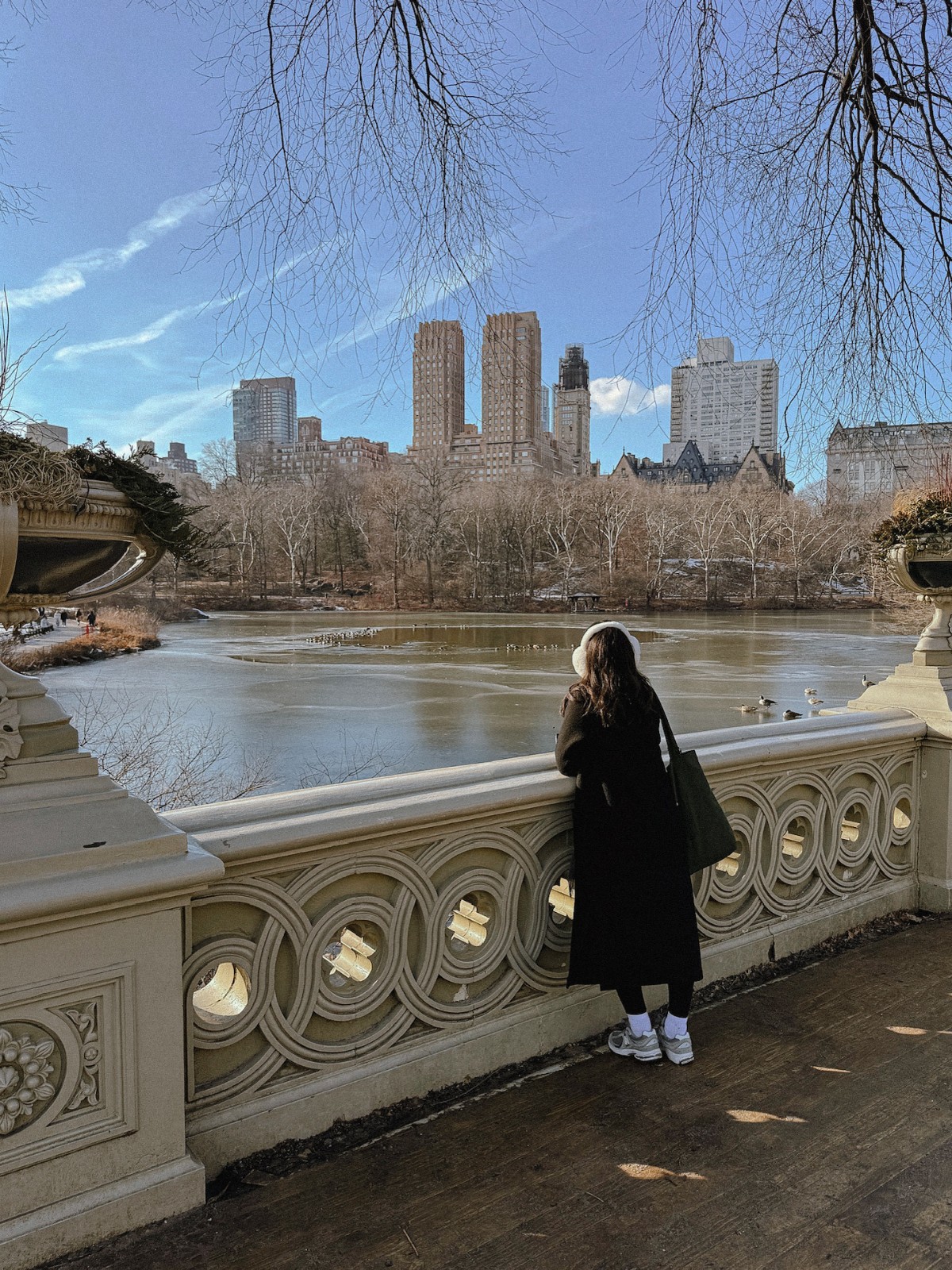 A girl standing on a bridge in central park looking at the skyline
